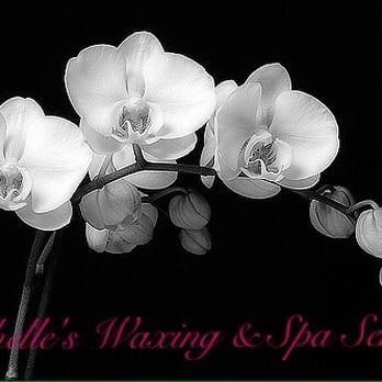 Rochelle's Waxing & Spa Services - Hair Removal Near Me - Lynnwood, Washington Rochelle's Waxing & Spa Services - Hair Removal Near Me - Lynnwood, Washington