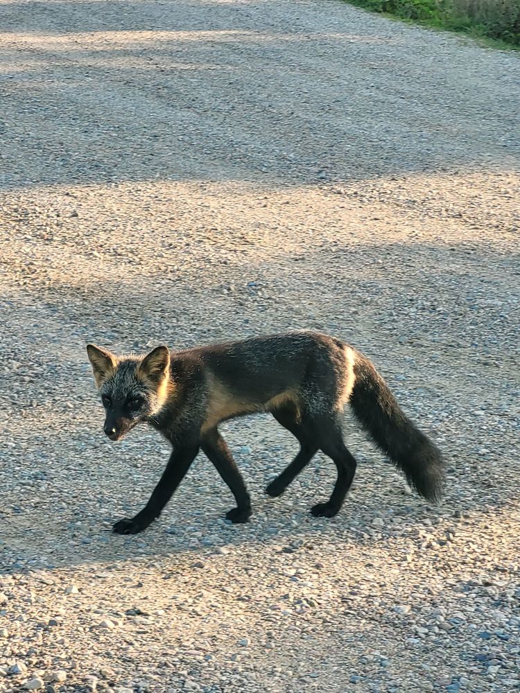 SHALLOW BAY MOTEL AND CABINS Updated September 2024 193 Main Street