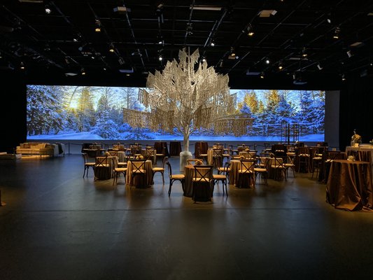 Fremont Studios by null