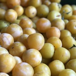 Fruit City