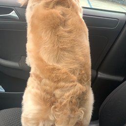Puffy blow out
