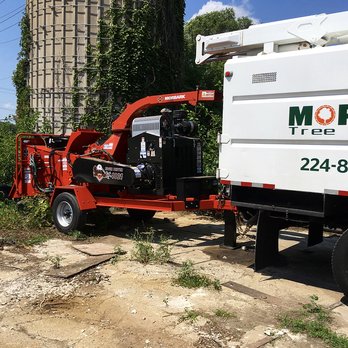 Morales Tree Service - Our bucket truck & wood chipper ready to go - Tree Services Near Me - Elgin, Illinois