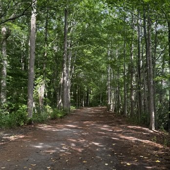 Oak Grove Lake Park - Trail - Parks Near Me - Chesapeake, Virginia Oak Grove Lake Park - Trail - Parks Near Me - Chesapeake, Virginia