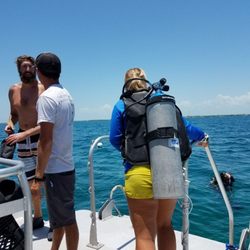 Florida Sun Transport - Getting ready to dive!