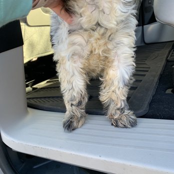 Gilbert Dogs 24/7 - Pet Groomers Near Me - Gilbert, Arizona