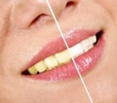 Edward M Orgon, DDS