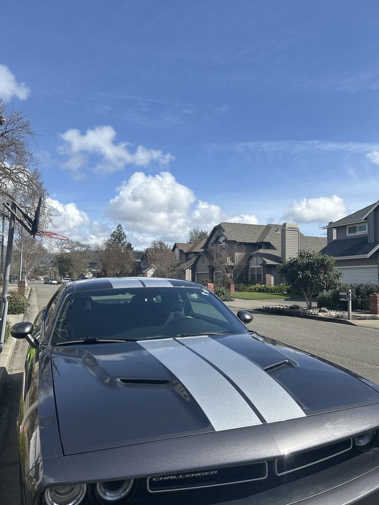 WRAPS N MOTION Updated October 2024 140 Photos & 31 Reviews 1005