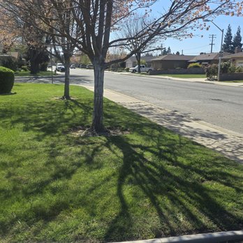 JNG Landscape & Maintenance - Landscaping Near Me - Turlock, California JNG Landscape & Maintenance - Landscaping Near Me - Turlock, California