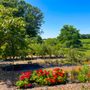 Westcott Vineyards