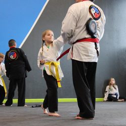 Momentum Taekwondo Plus