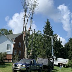 Quality First Tree Service