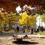 Photo of Platz Am Born