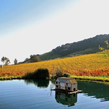 Schug Winery - Wineries Near Me - Sonoma, California