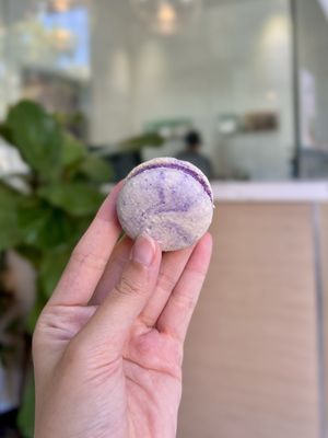 Fancy Flavors Bakeshop & Cafe by null