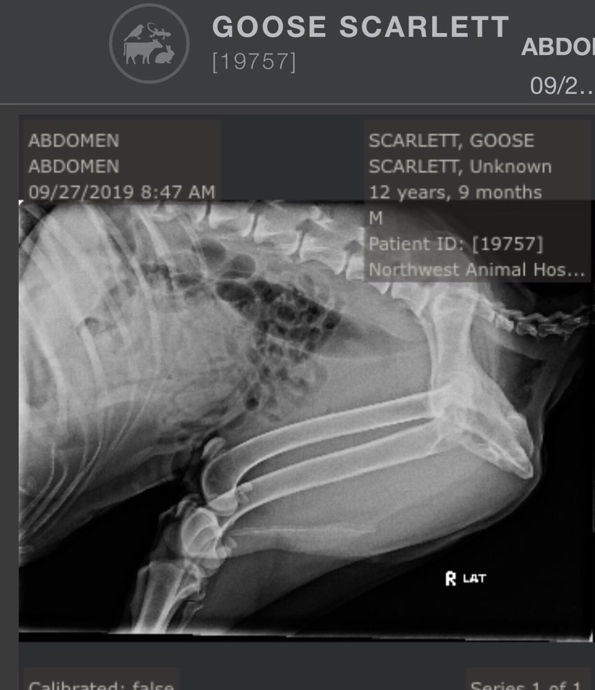 CYPRESSWOOD ANIMAL CLINIC 36 Photos & 63 Reviews 24403 Aldine