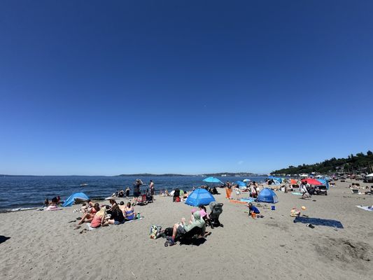 Alki Beach by null
