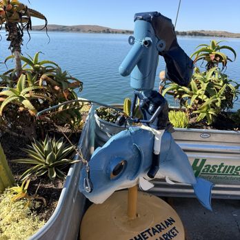 Fishetarian Fish Market - Seafood Near Me - Bodega Bay, California Fishetarian Fish Market - Seafood Near Me - Bodega Bay, California