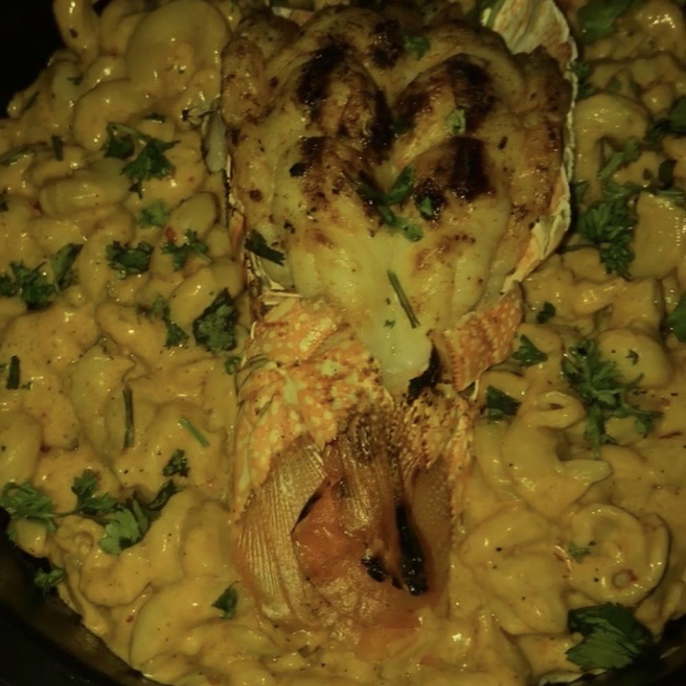 The Savoy  - Grilled Lobster and Mac. RUNNNN, don't walk to get this!! It was soooooo bomb. Some of the best Mac I've ever had! - Hookah Bars Near Me - Houston, Texas