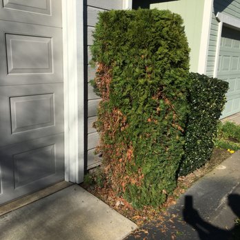 BrightView - Seven years and never molested until today by BrightView - Landscape Architects or Designers Near Me - Gardena, California