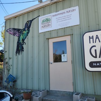 Hahamongna Native Plant Nursery - Nurseries & Gardening Near Me - Pasadena, California Hahamongna Native Plant Nursery - Nurseries & Gardening Near Me - Pasadena, California