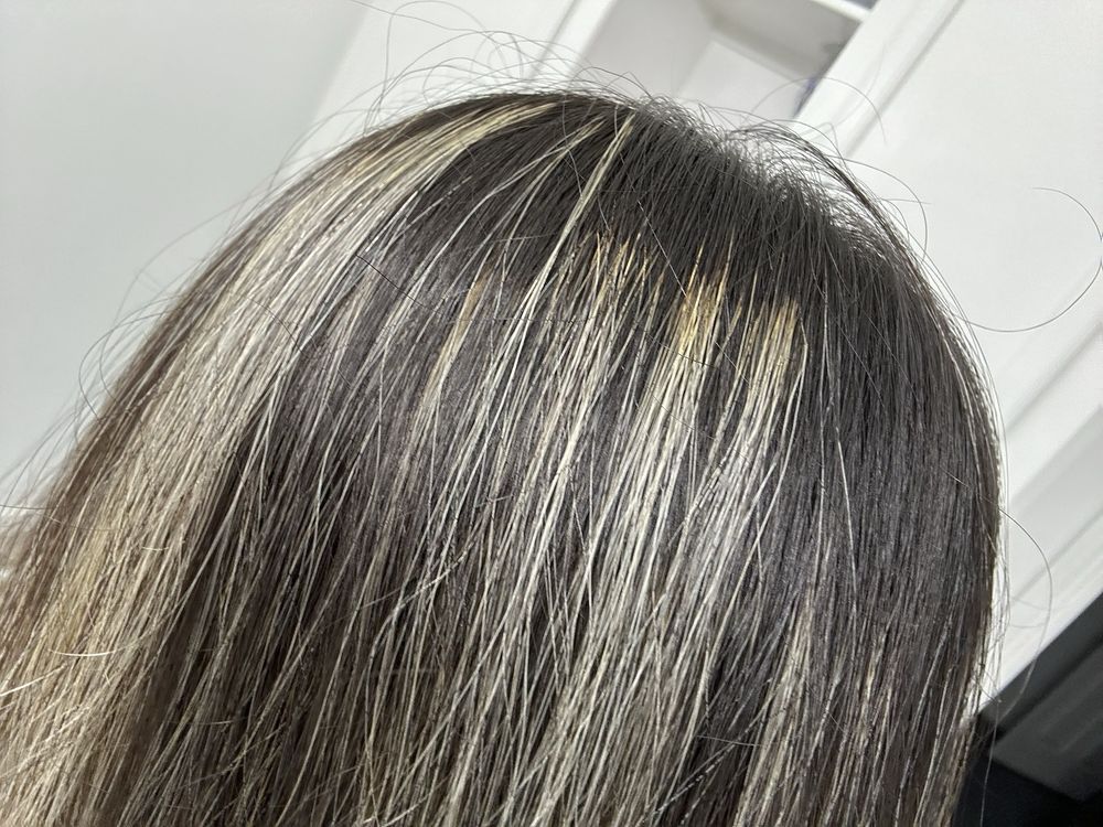 Southern Tangles Salon Image