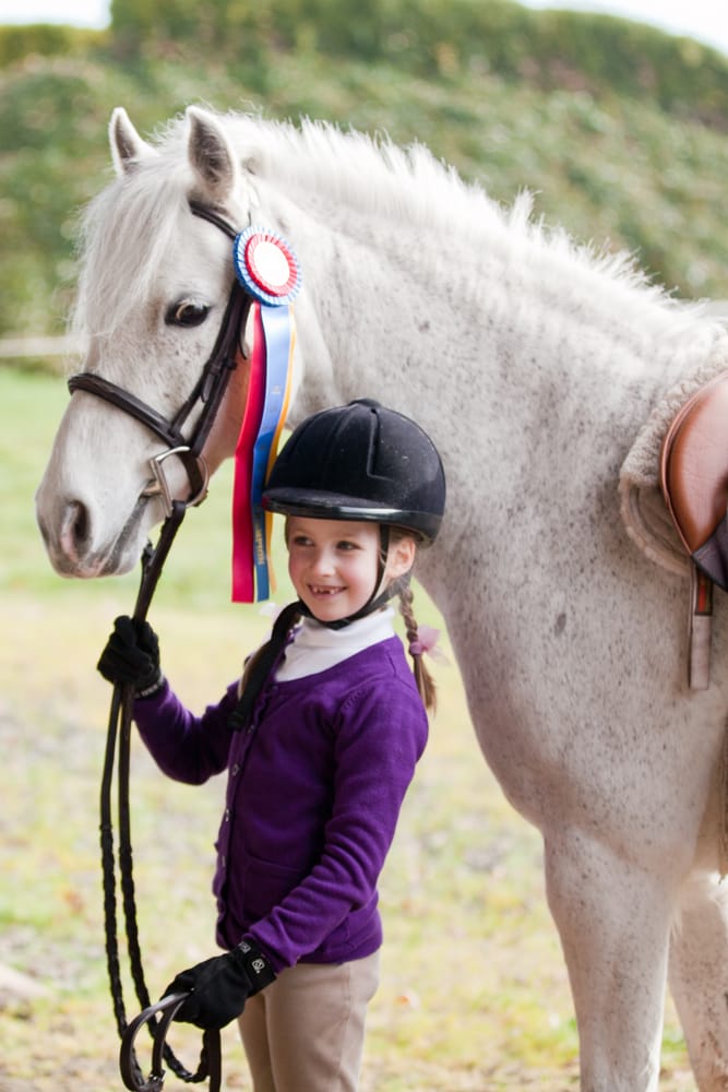 Quiet Rein Riding School - equestrian in Oregon City, OR