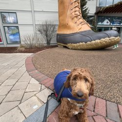 L.L. Bean Outlet