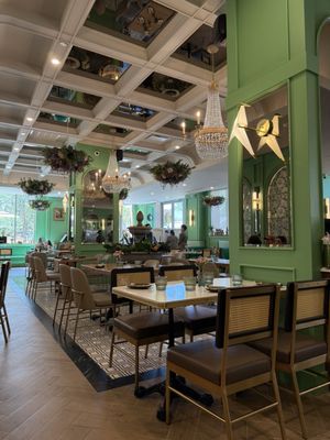 Dok Khao Thai (Chevy Chase) by null