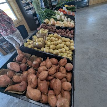 Golden Ridge Groves - Produce - Fruits & Veggies Near Me - Bartow, Florida Golden Ridge Groves - Produce - Fruits & Veggies Near Me - Bartow, Florida