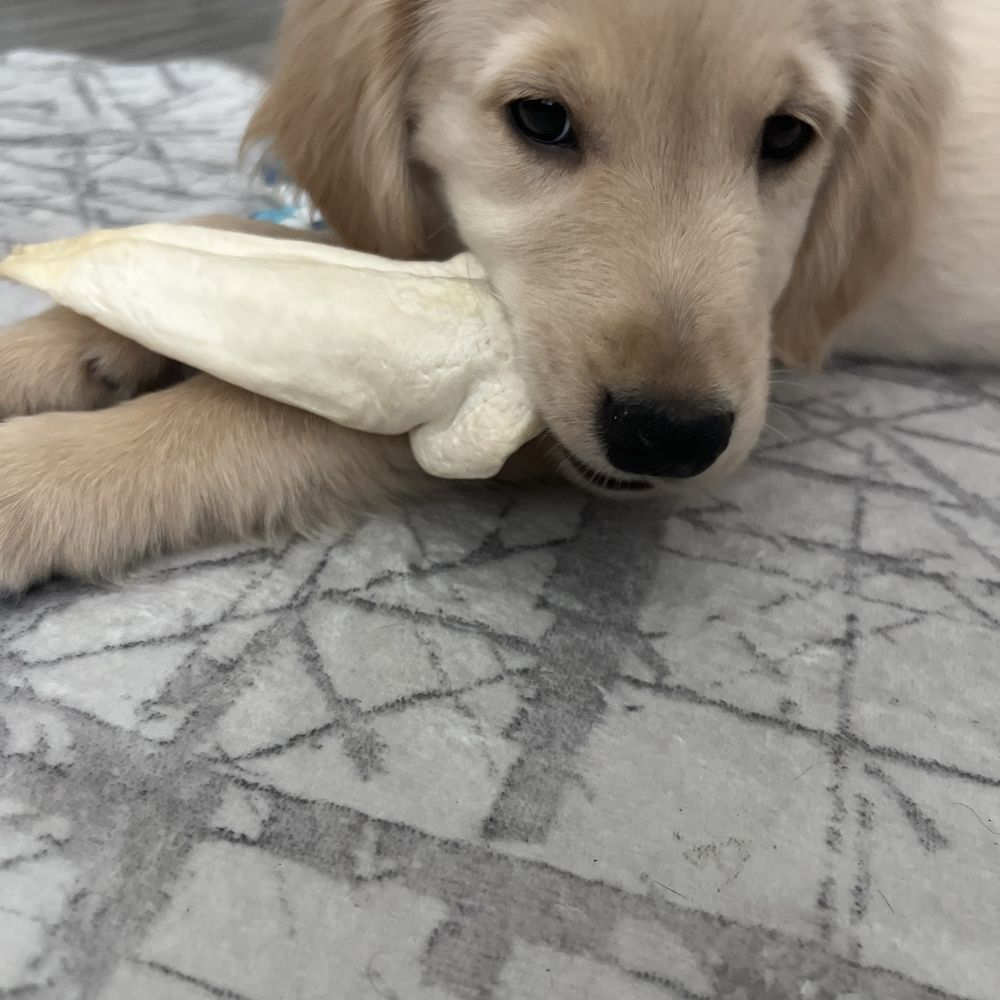 He loves his teething aids!! He loves his teething aids!!