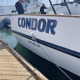 The boat The boat