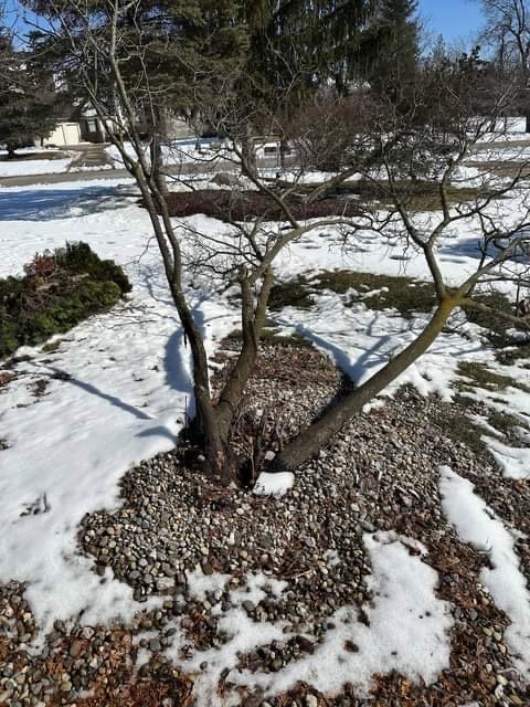 Slide of Curt’s Services