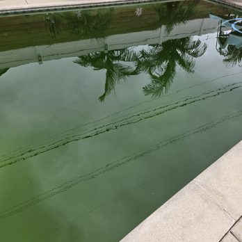 Angel's Pool Cleaning - Before - Pool Cleaners Near Me Angel's Pool Cleaning - Before - Pool Cleaners Near Me