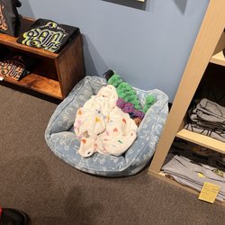 Subterranean Books - Not sure if it's a cat or a dog?