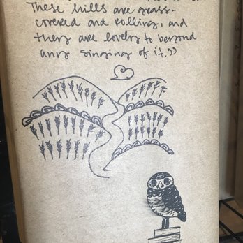 Burrowing Owl Books - Used Bookstore Near Me - Canyon, Texas