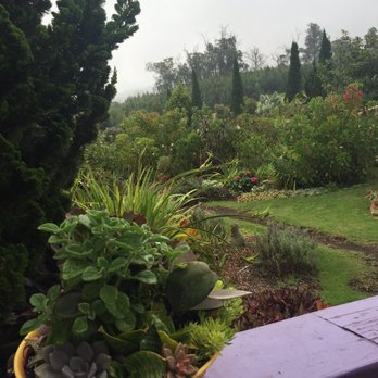 Ali'i Kula Lavender - Tours Near Me - Kula, Hawaii Ali'i Kula Lavender - Tours Near Me - Kula, Hawaii