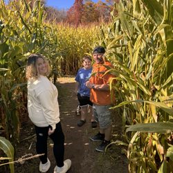 Cucumber Hill Farm - Corn Maze