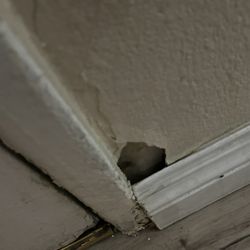 Hi-Way Host Motel - Unrepaired hole in the wall