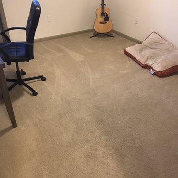 Rene's Steam Carpet Cleaning - Carpet Cleaning Near Me Rene's Steam Carpet Cleaning - Carpet Cleaning Near Me