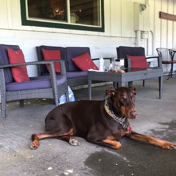 Indian Rock Vineyards - dog friendly - Wine Tasting Room Near Me - Murphys, California