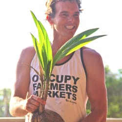 Coconut Information - Teacher Ryan, holding a baby coconut tree waiting to be planted!