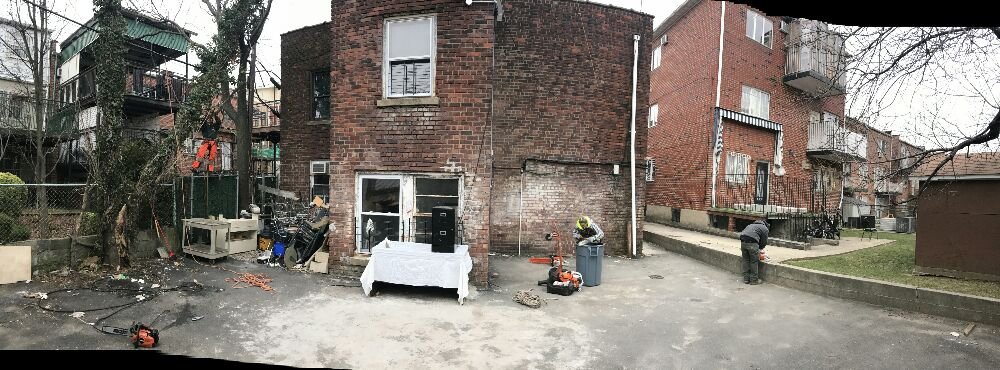 Tarzan Tree Removal - tree service in Staten Island, NY