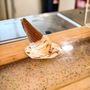 Photo of Cave City Coffee & Creamery