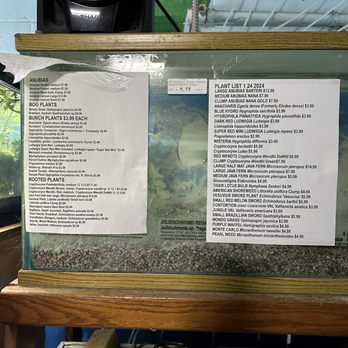 Tropical Haven - plants for sale - Pet Stores Near Me - Modesto, California