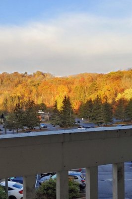 Deerhurst Resort by null
