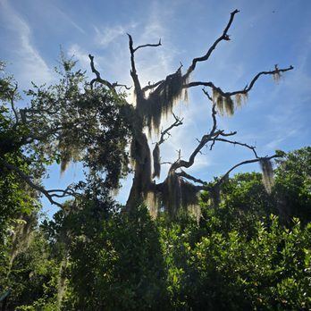 Neal Preserve - Parks Near Me - Bradenton, Florida Neal Preserve - Parks Near Me - Bradenton, Florida
