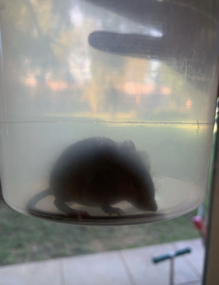 ROLLINS PARK APARTMENTS Updated July 2024 46 Photos & 31 Reviews 1599 East Jefferson St