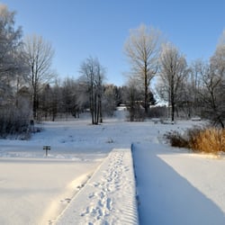 Brahmsee