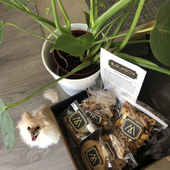 MackBox - November's Mackbox - Desserts Near Me