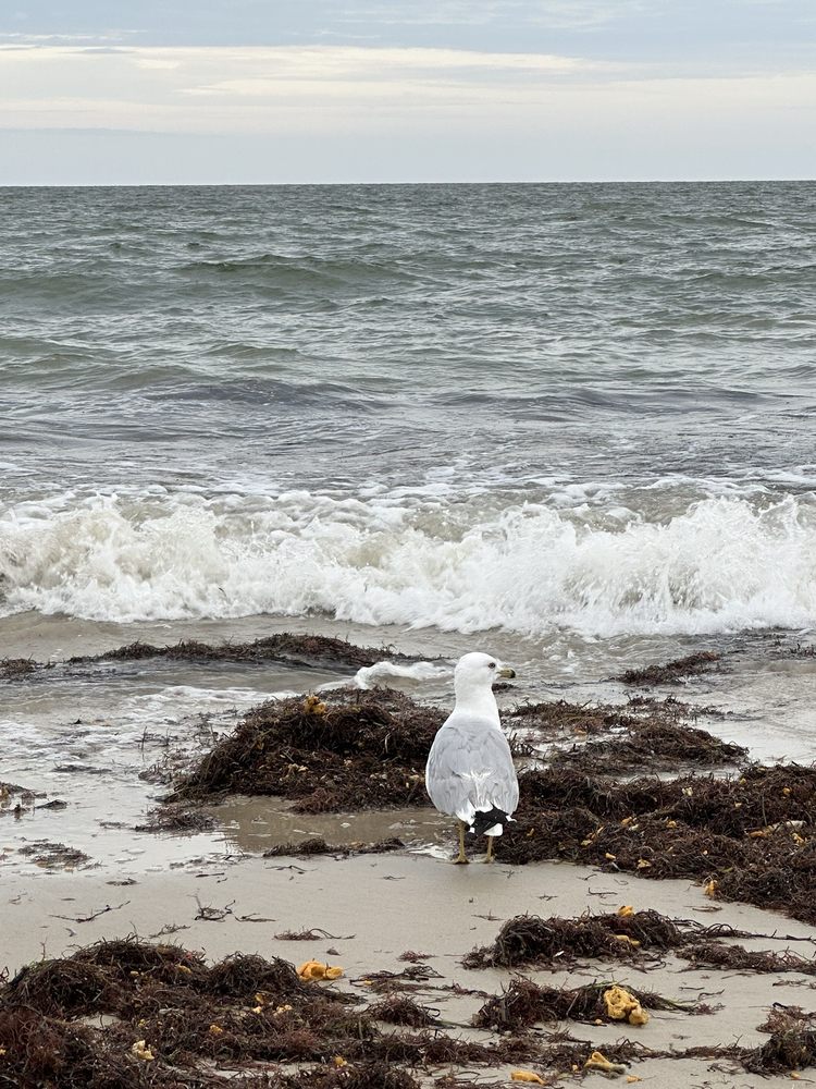 Grandview Nature Preserve